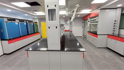 Gas Distribution System (GDS) Project